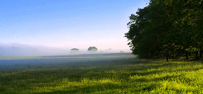 Environment